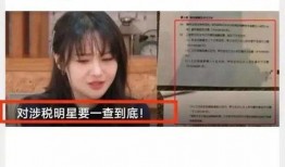 王导说事爆料视频,独家爆料视频深度解析